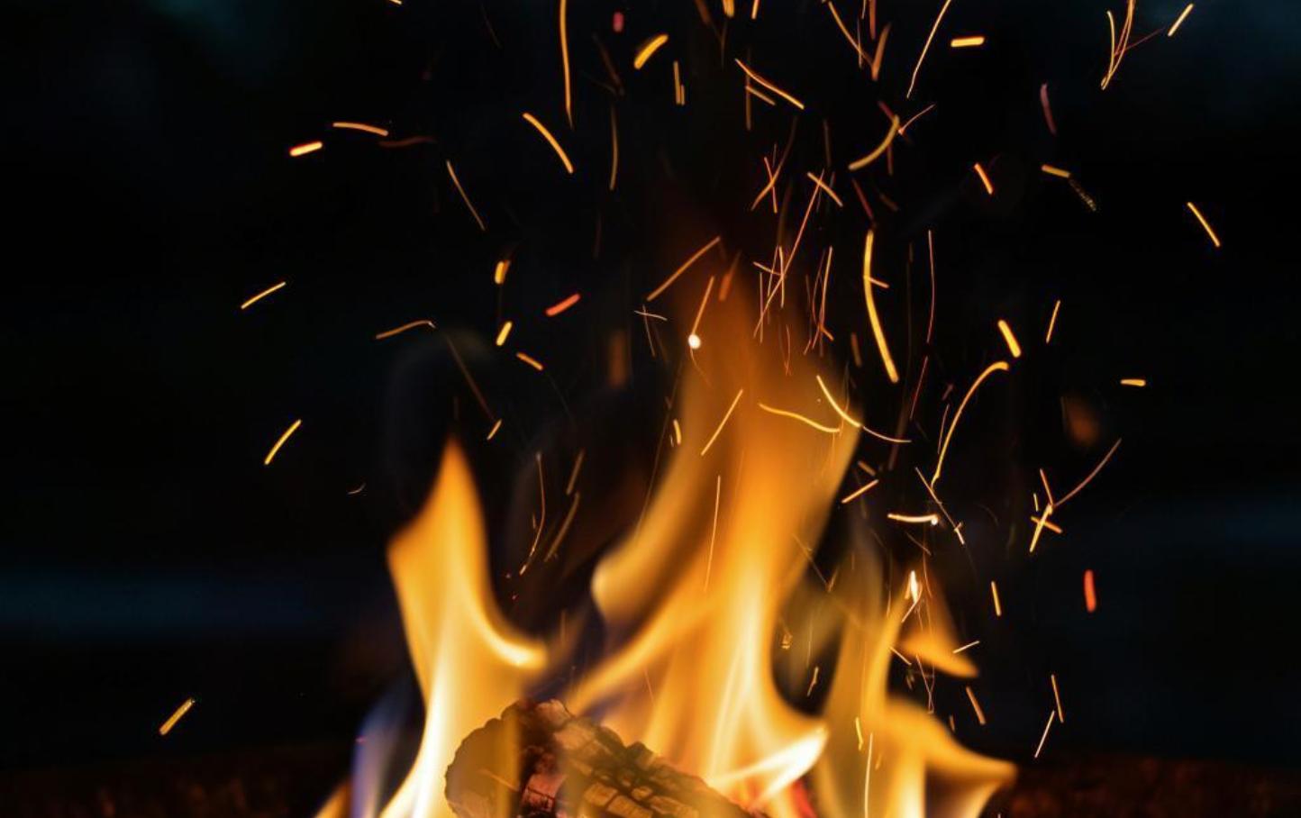 В Череповецком районе проверят фермера, который разводит костры из шкур и костей