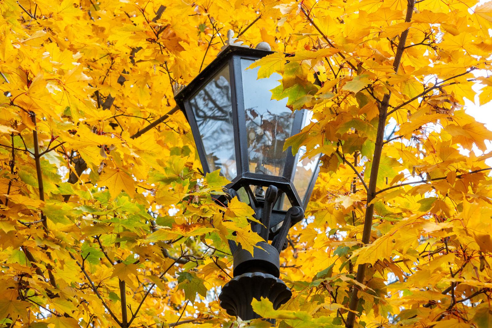 В Московском районе началась реконструкция уличного освещения