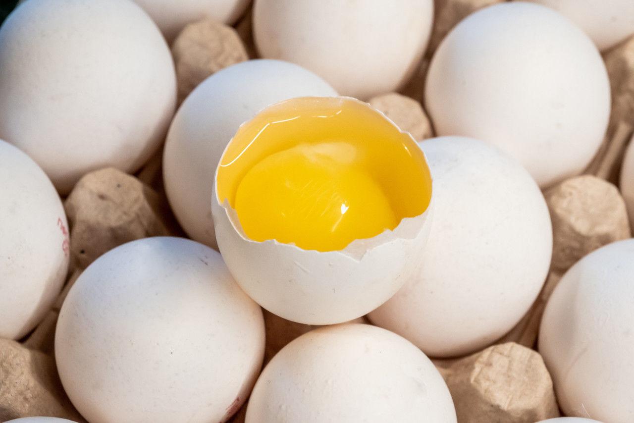 Эксперт Бахлина объяснила, почему белок обязателен во время завтрака