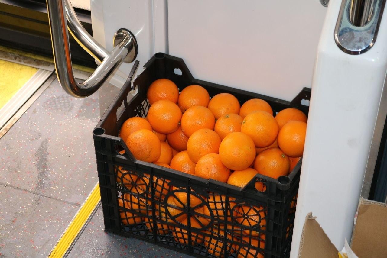 «Витаминный трамвай» проехал по Петербургу