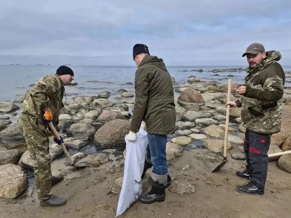 Скопление нефтепродуктов на береговой линии Финского залива в Кингисеппском районе Ленинградской области оперативно устраняется