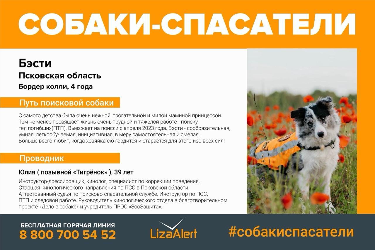 В Ленобласти застрелили двух поисковых собак отряда «ЛизаАлерт»