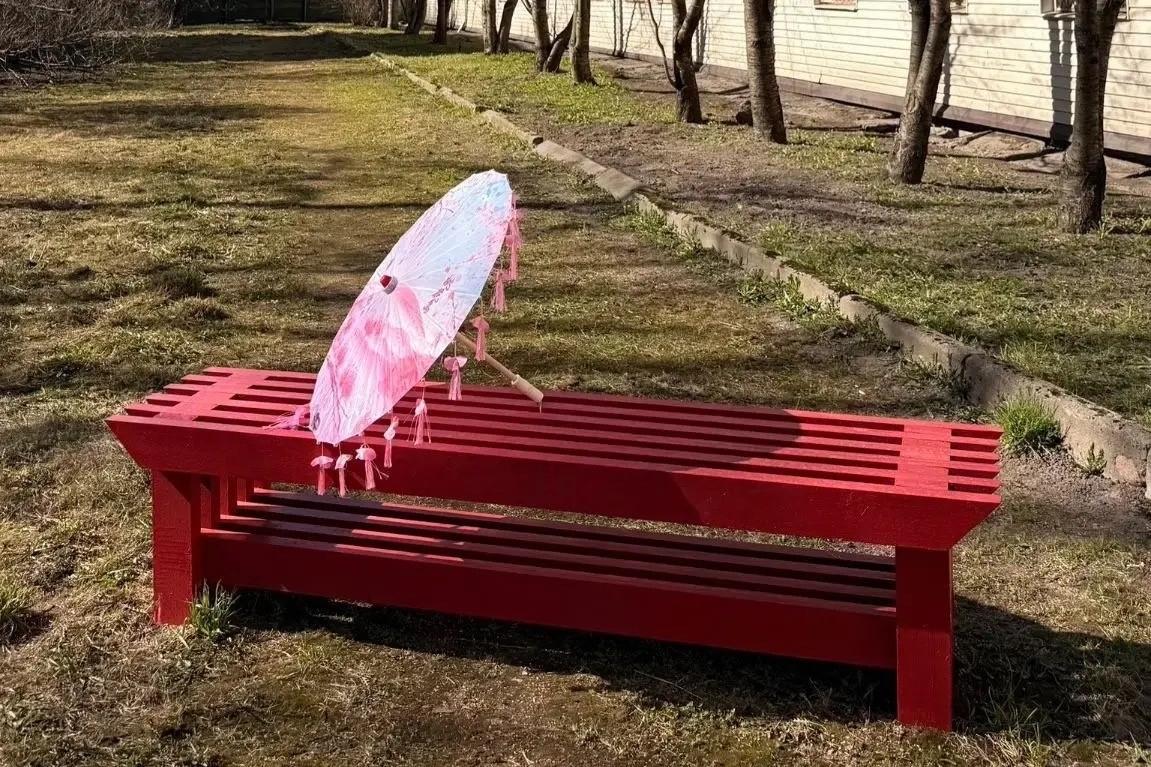 В Московском районе Петербурга появится новая точка для наблюдения за цветением сакуры