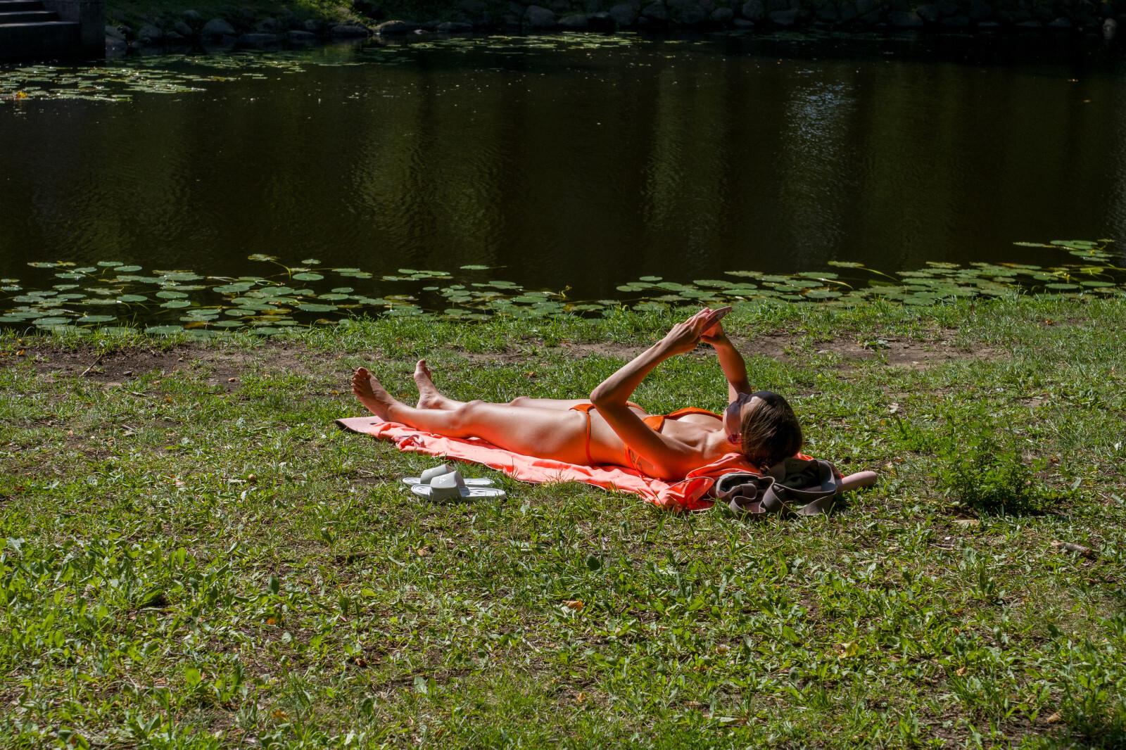 Стало известно, где в России обитают опасные комары