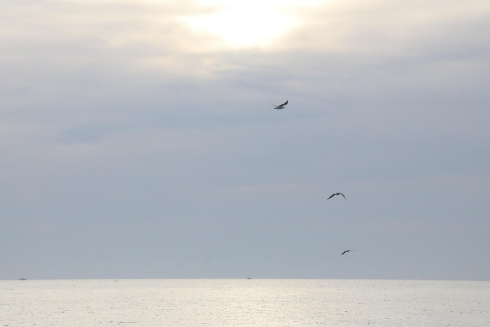 Американский разведывательный самолет более семи часов провел у российской границы