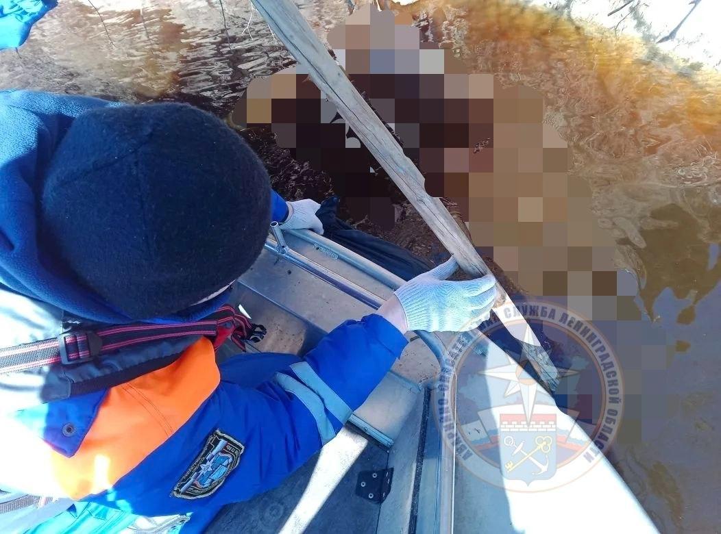 В реке Волхов в городе Волхове выловили тело неизвестного человека