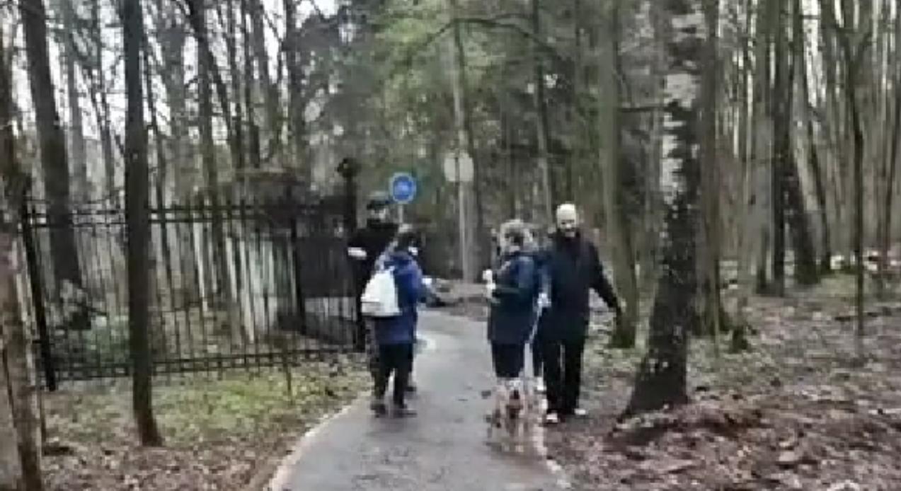 Сбитая на МКАД собака Элли нашлась живой на территории НИИ «Экология»