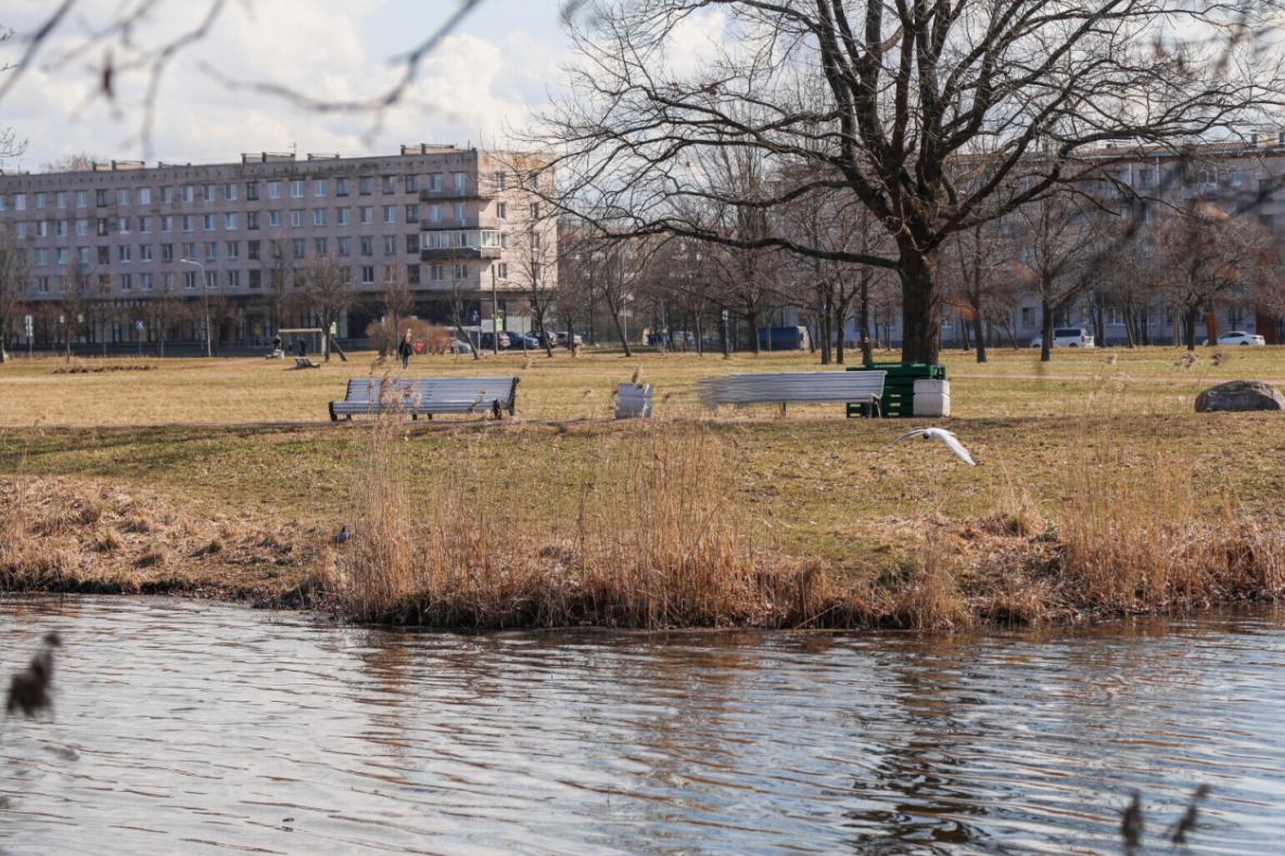 Какой будет погода в Ленобласти 19 апреля
