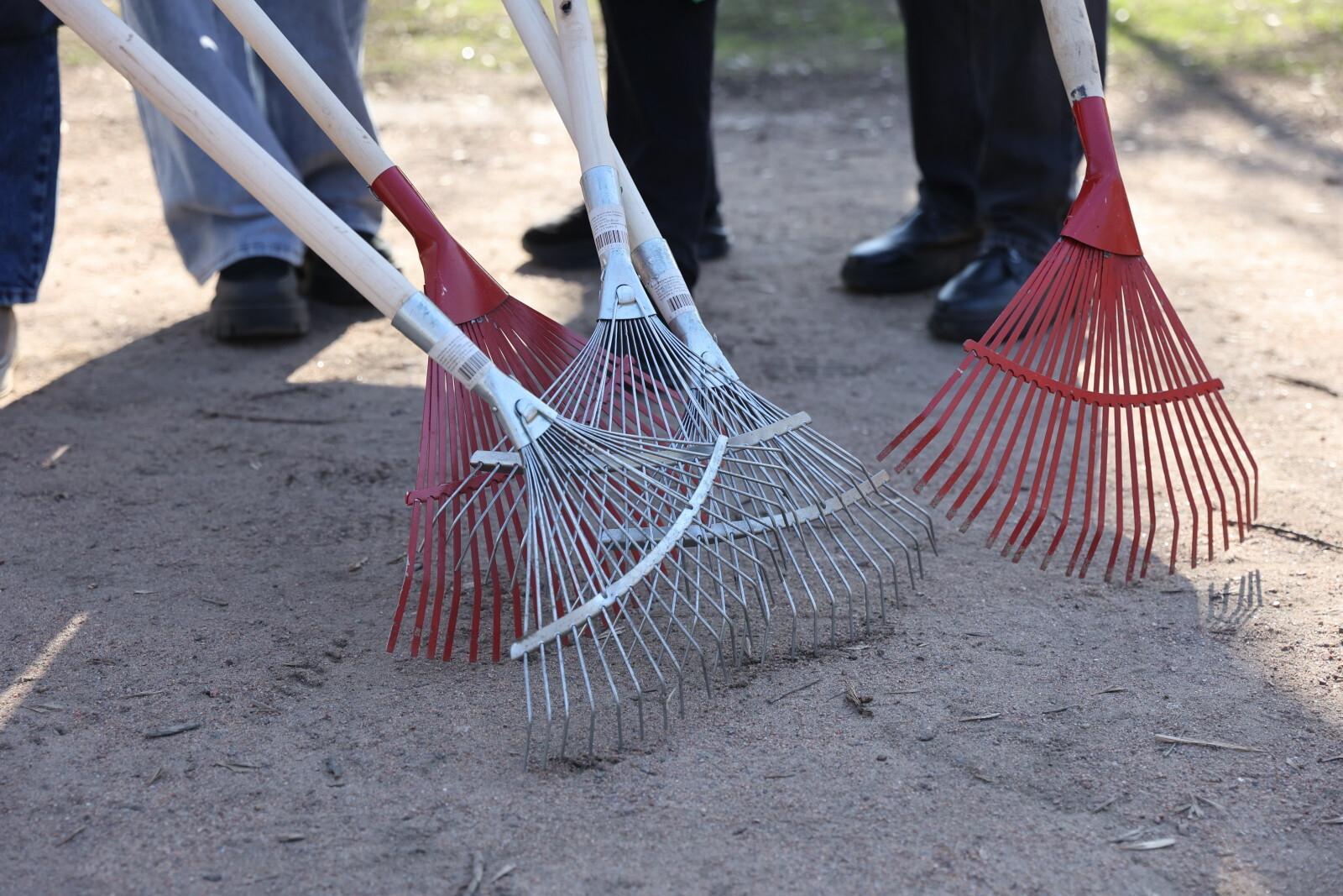 На трассе «Нарва» в Ленинградской области прошел масштабный субботник