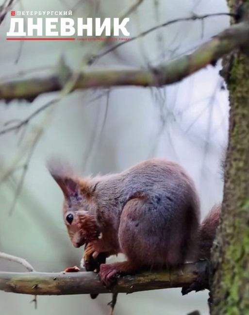 Врач рассказала, какие видеоролики надо смотреть, чтобы реально отдохнуть