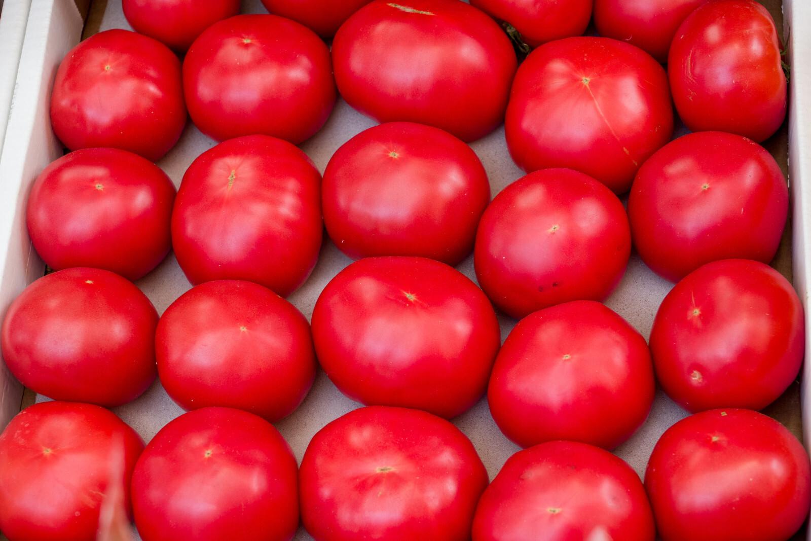 Школьники вырастили «огуртык» и «томатофель»