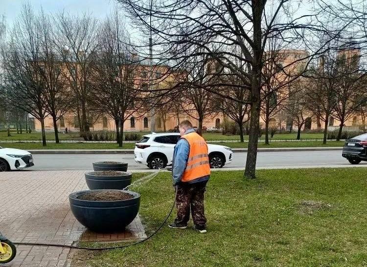 В Московском районе Петербурга помыли вазоны