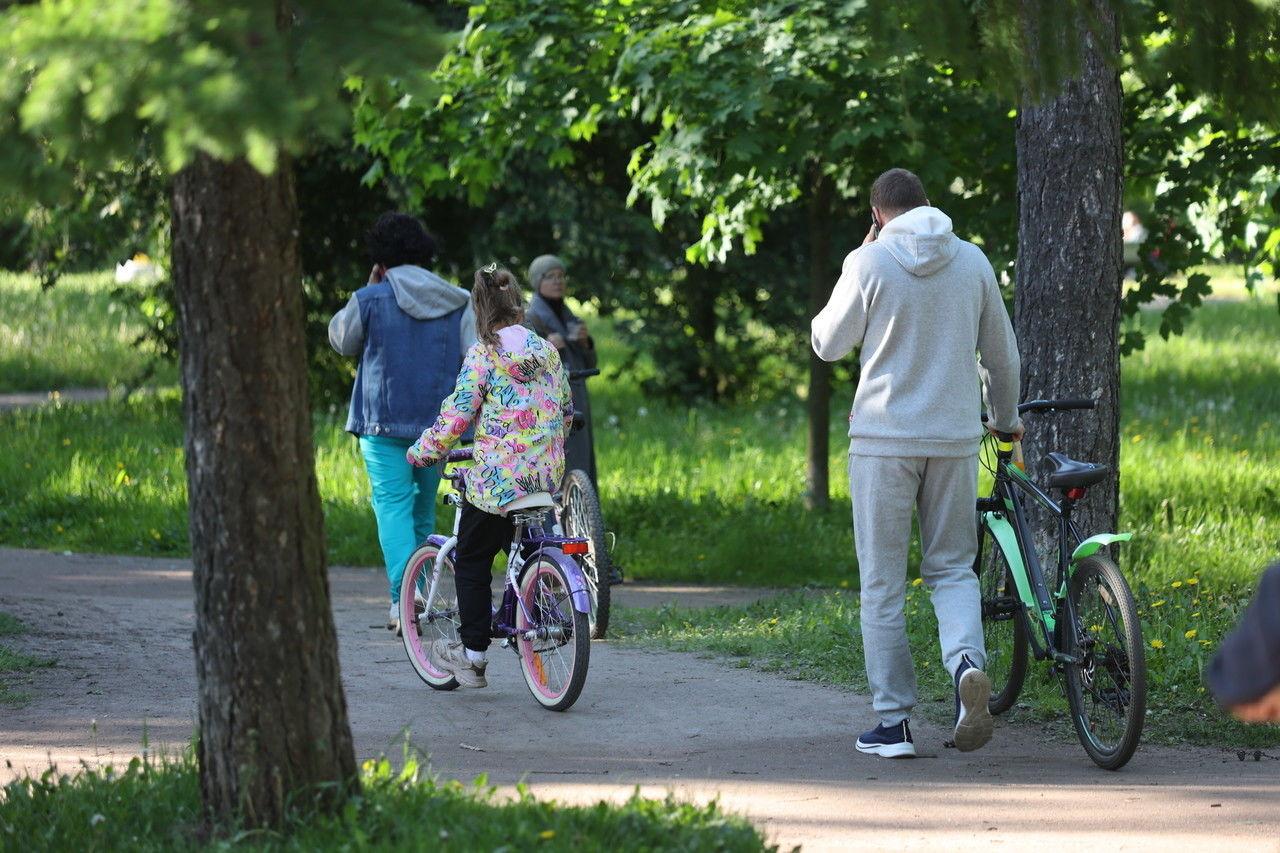 Стал известно, какие испытания ждут участников «Семейной зарницы»