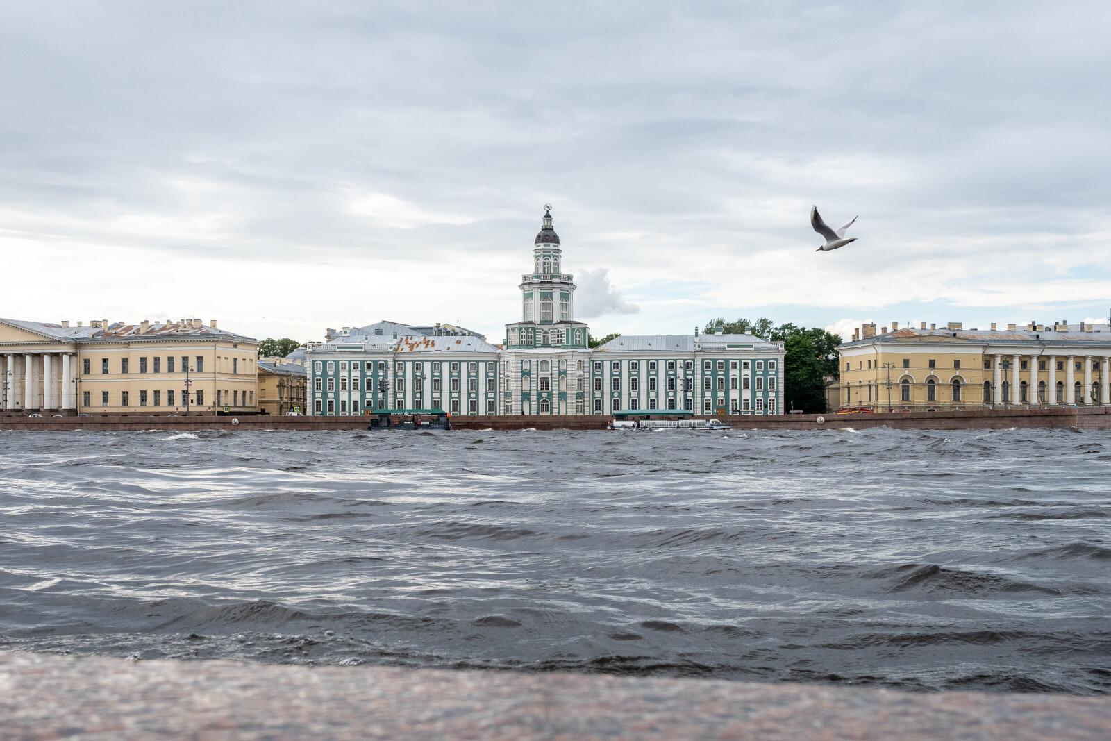 МЧС: в Петербурге 28 апреля вновь ухудшится погода