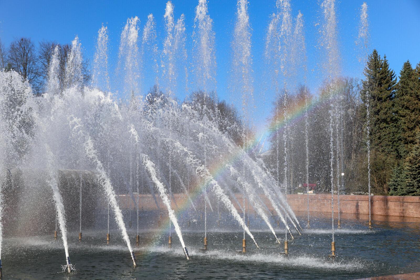 В Ленобласти 1 мая воздух прогреется до плюс 18 градусов