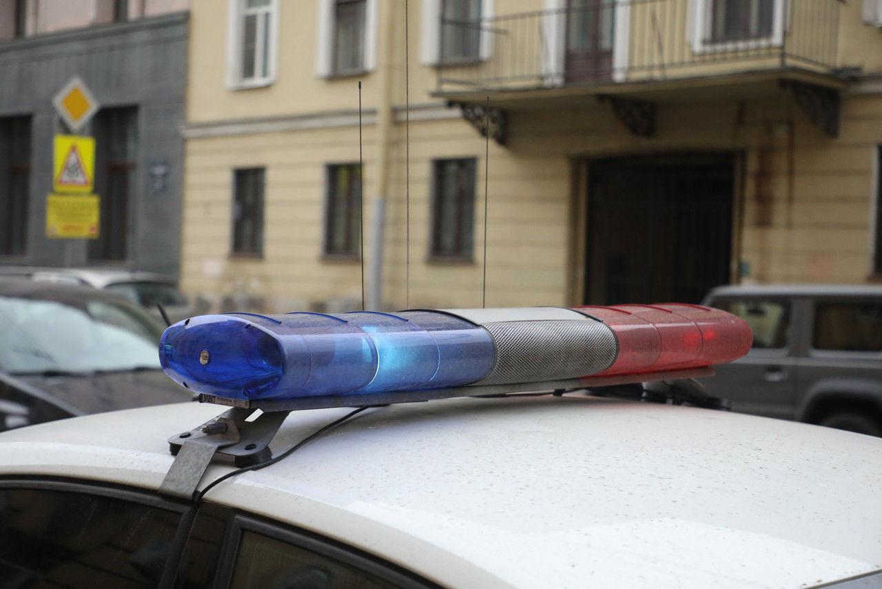 Двое парней подожгли пух во дворе на Энергетиков и спалили иномарку