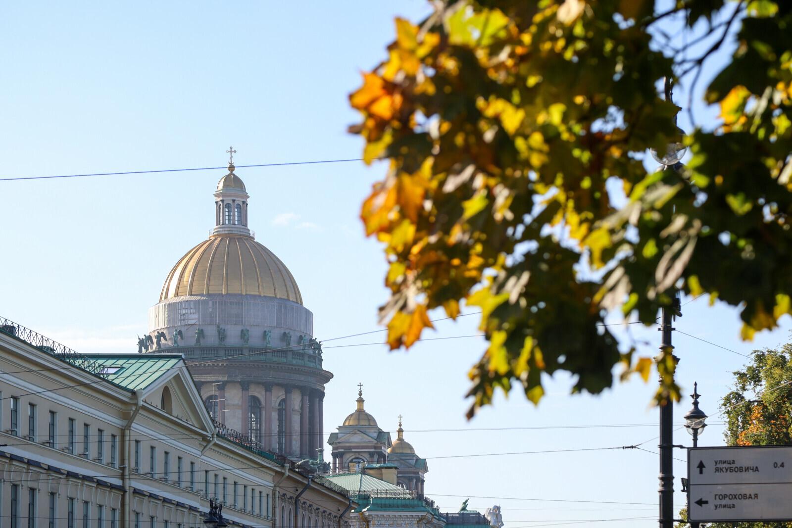 Евродепутат от Словакии заявила, что вернется в Петербург в качестве туриста