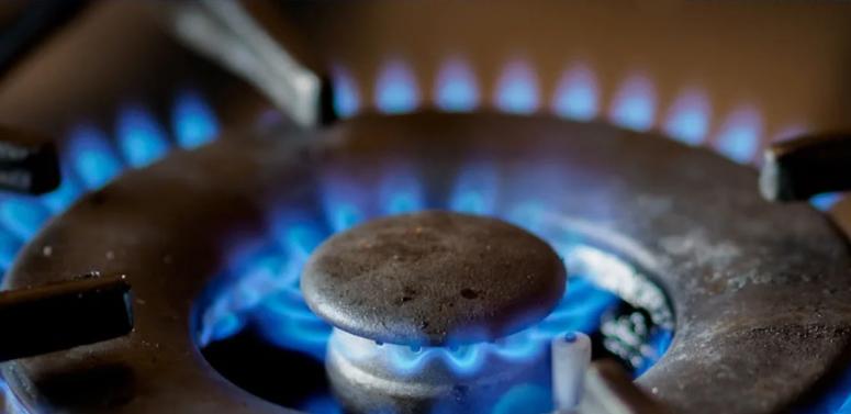 В Ленобласти с начала года к газу подключили 7521 дом