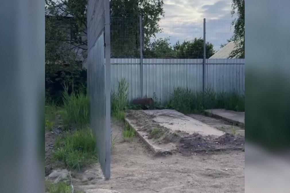 Новую контейнерную площадку в СНТ «Поркузи» обустроят до августа