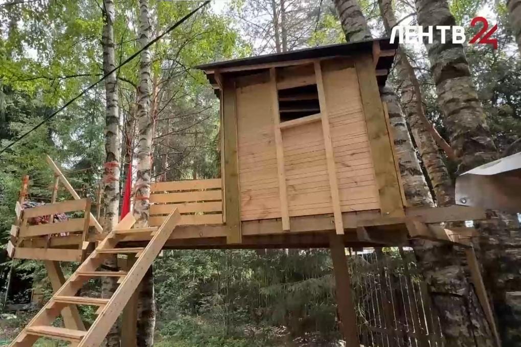 «Летучий корабль» причалил к дереву в Выборгском районе Ленобласти