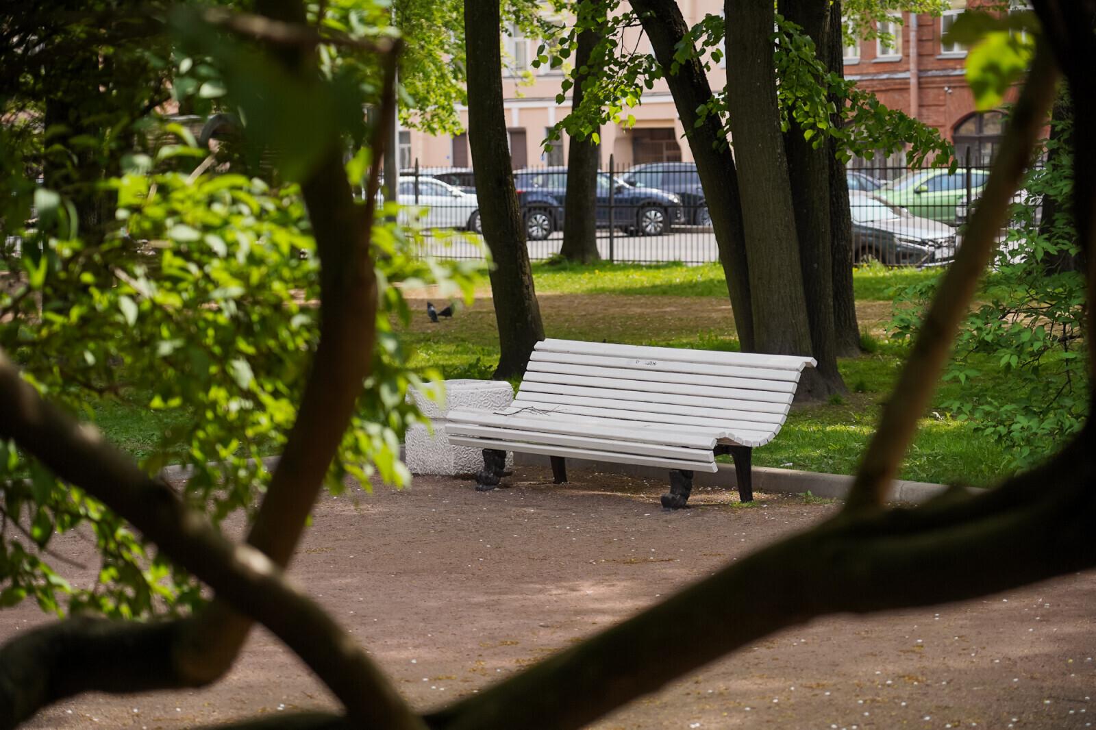 Садовники Петербурга начали летнюю формовку живых изгородей