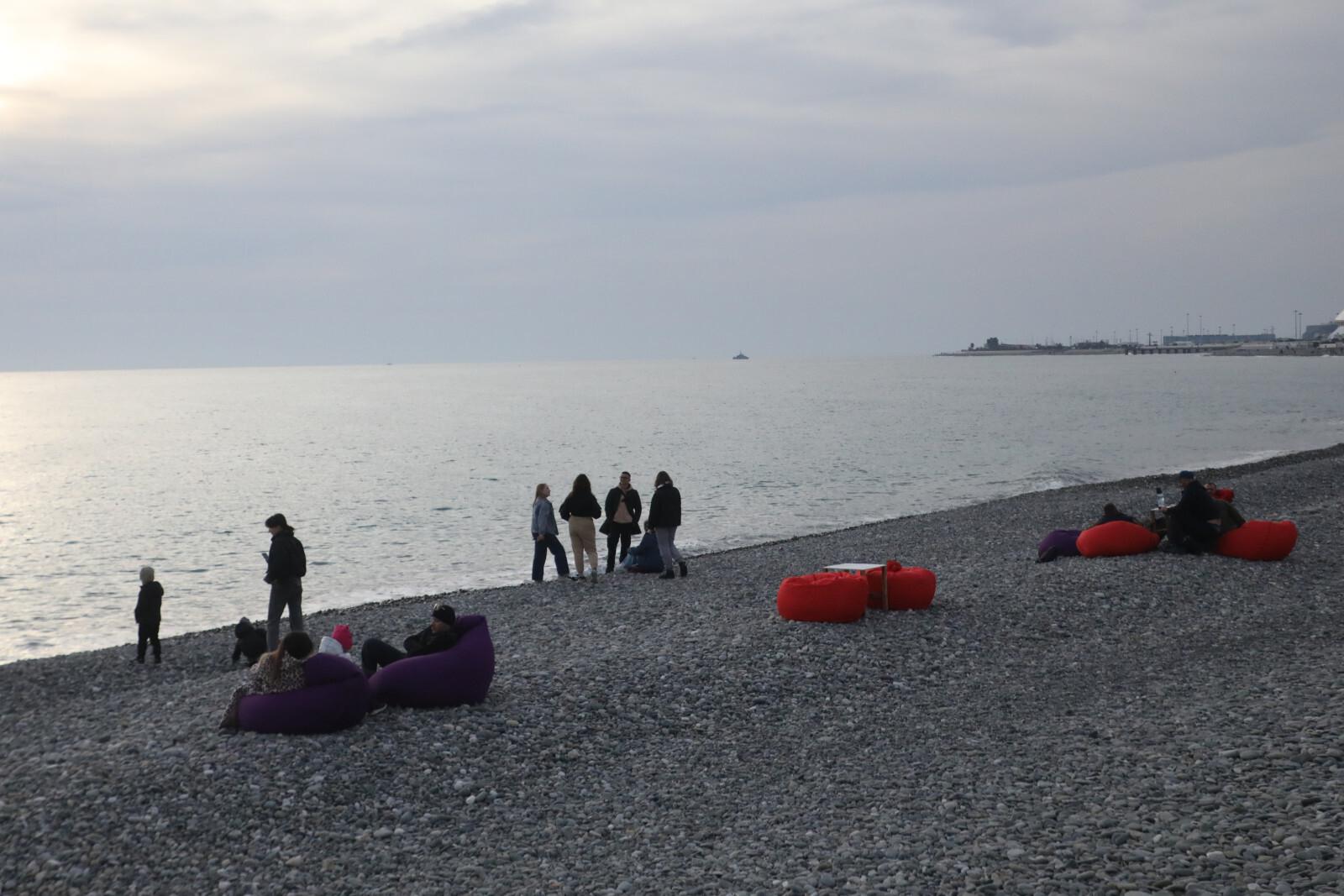 Ученые выяснили, почему стало много медуз в Черном и Азовском морях