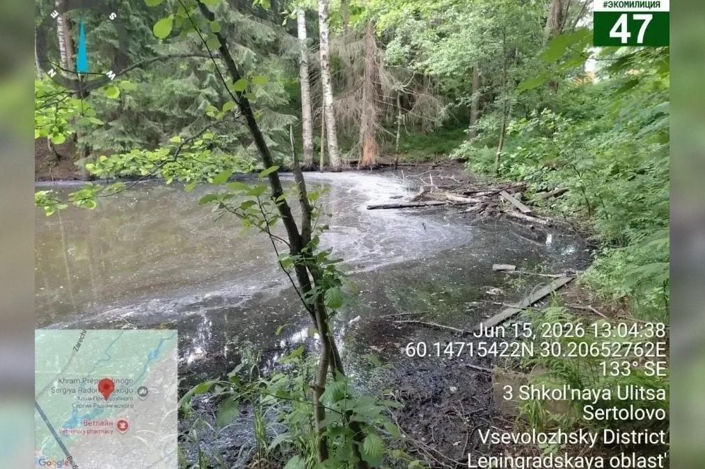 Сообщения о загрязнении Сертоловского ручья во Всеволожском районе не подтвердились
