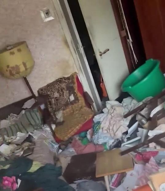 Видео: в захламленной квартире в Мурино кошка заперта одна больше 10 дней