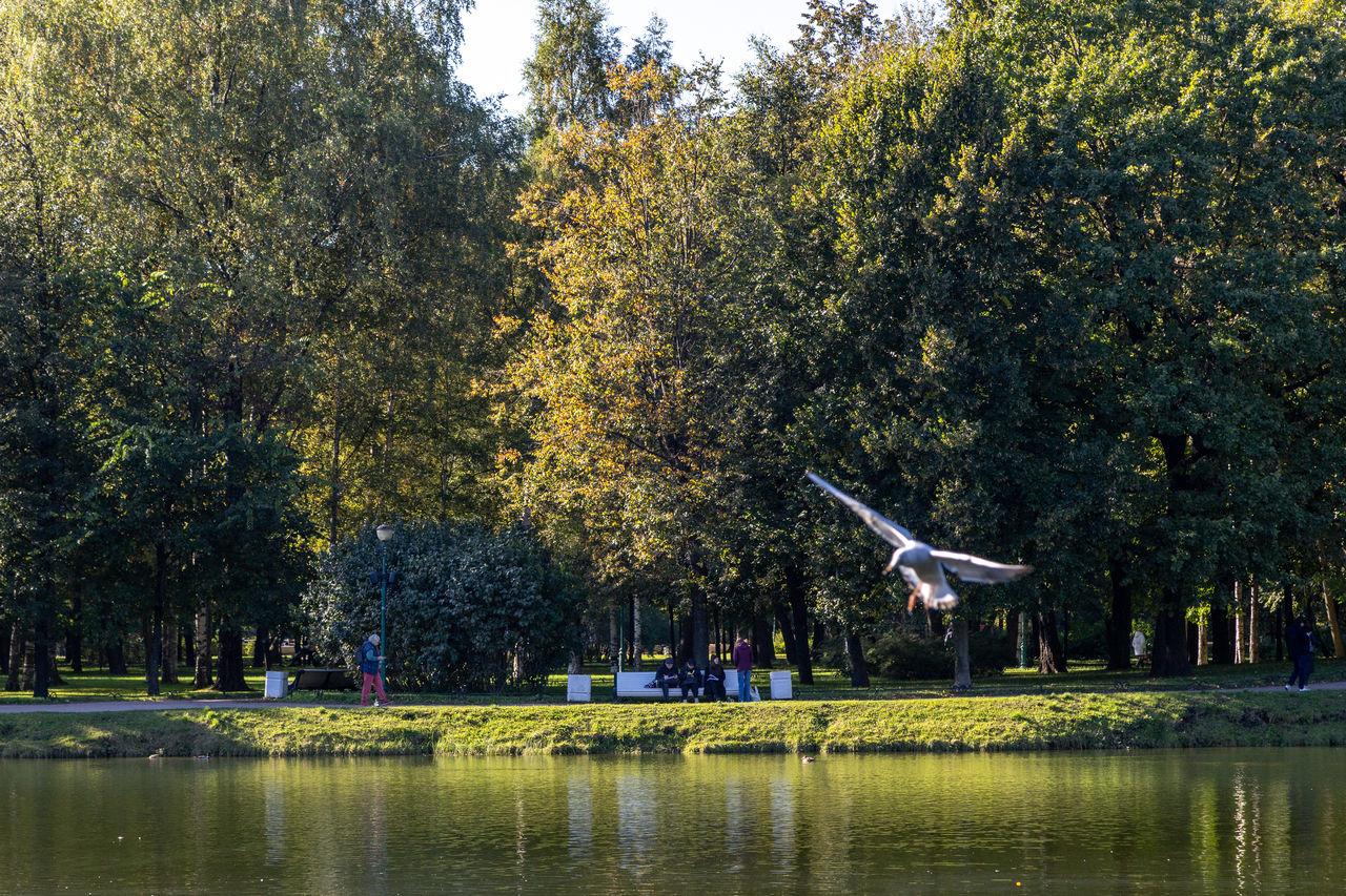 В Росгидрометцентре рассказали, какая погода ждет россиян в сентябре