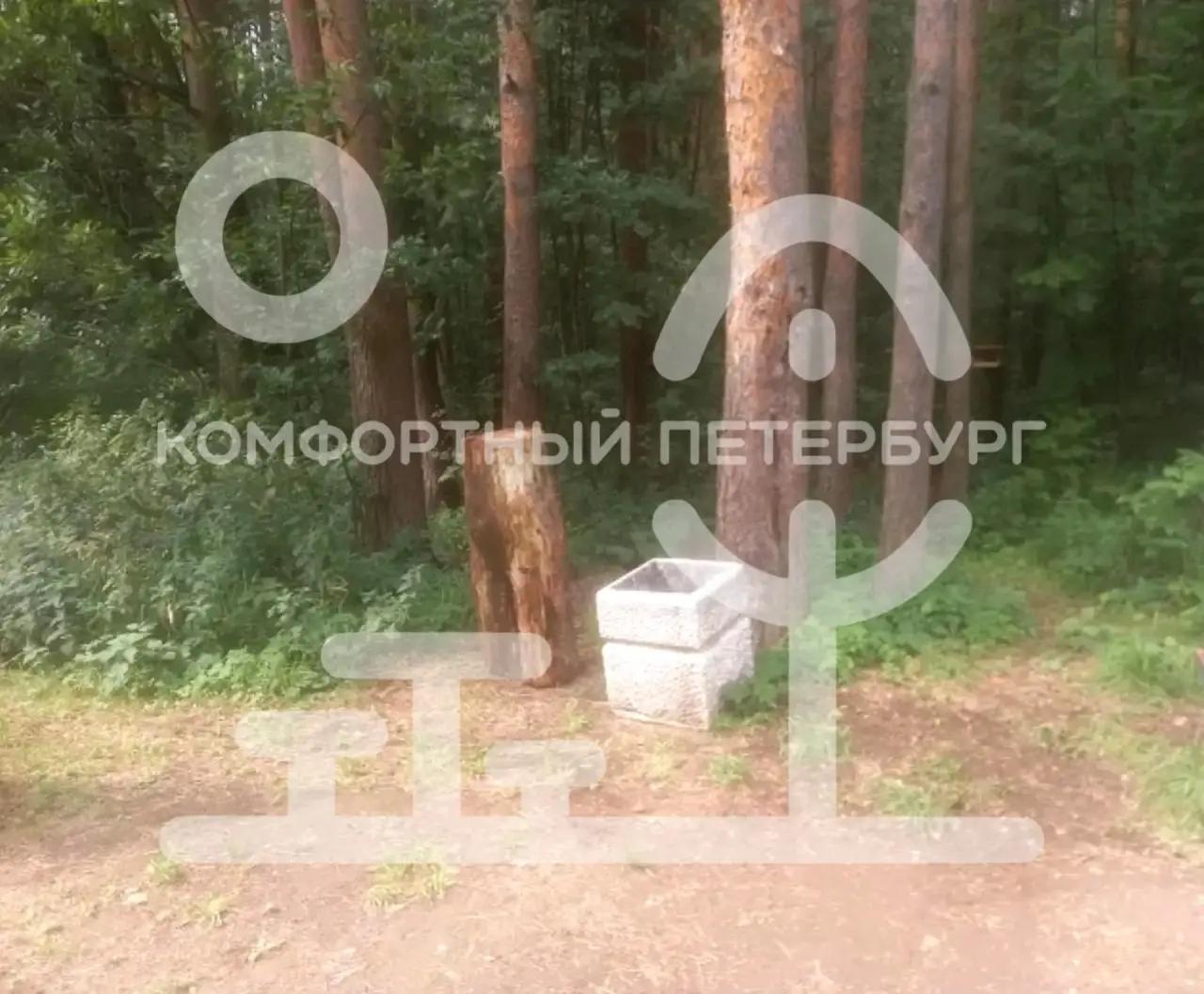 В Александрино очистили территорию от мусора