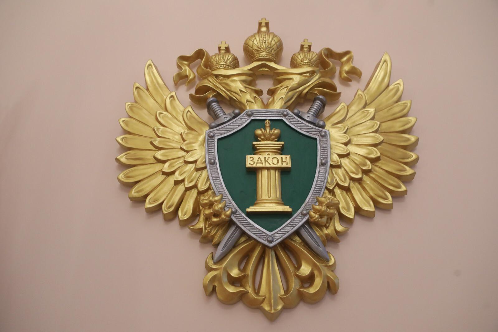 Прокуратура Ленобласти начала проверку после гибели ребенка в деревне Надкопанье