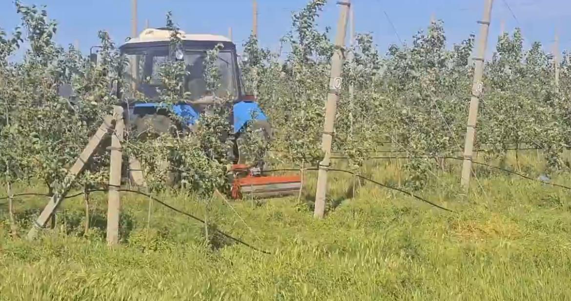 Нижегородские канадцы рассказали, как вернулись из Крыма с новым фермерским опытом