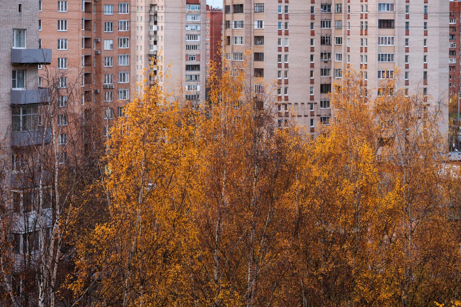 Осенняя усталость или повод обратиться к врачу: какие симптомы не стоит списывать на смену сезона